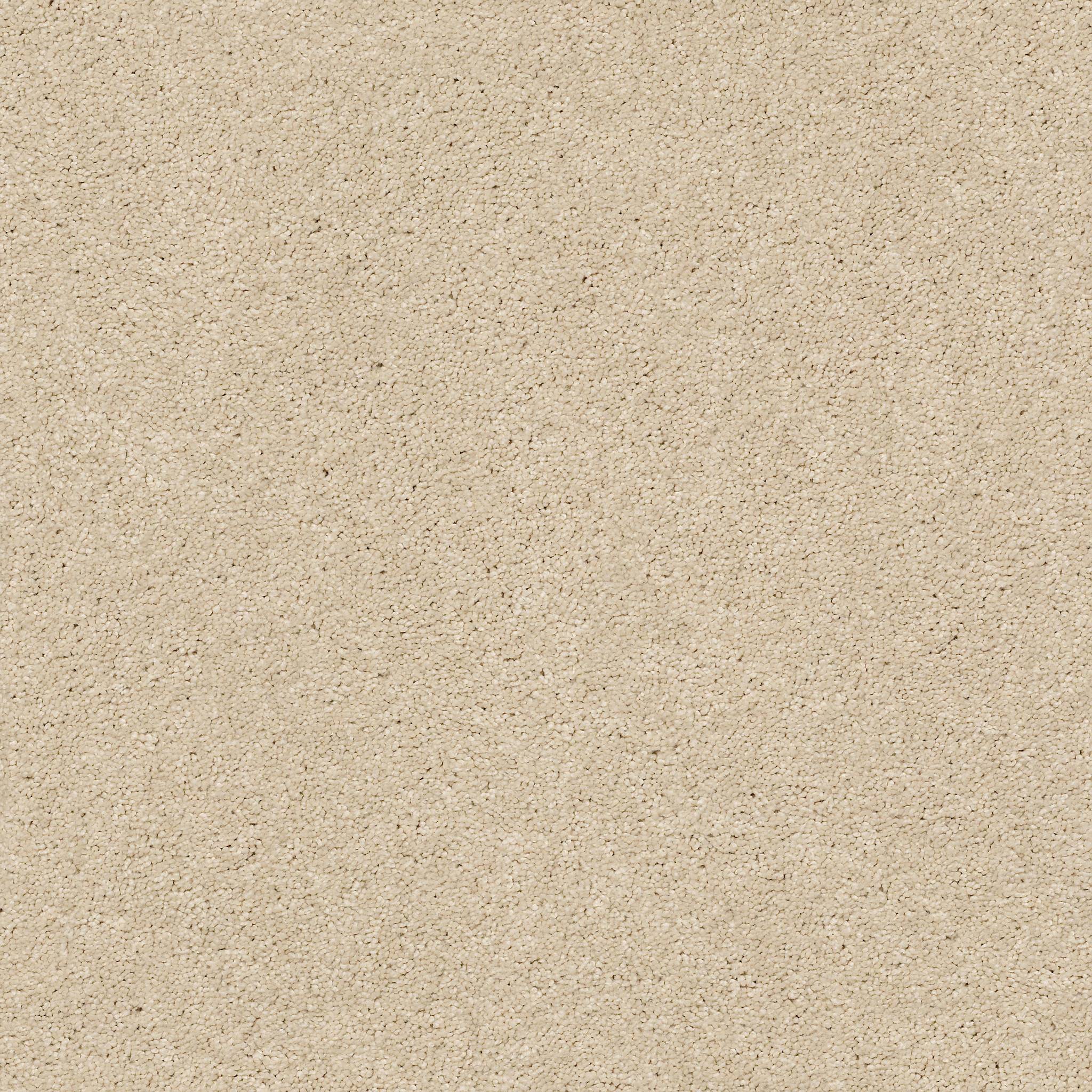 First Act Carpet - Morning Light Zoomed Swatch Image