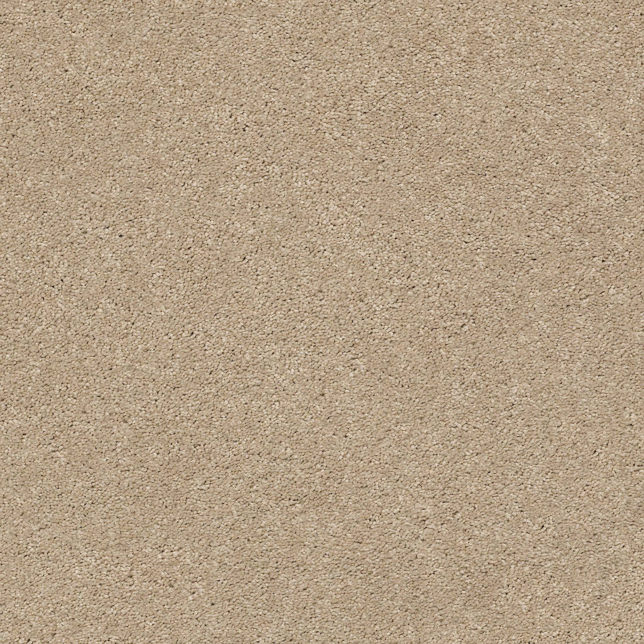 First Act Carpet - Oak Ridge Zoomed Swatch Image
