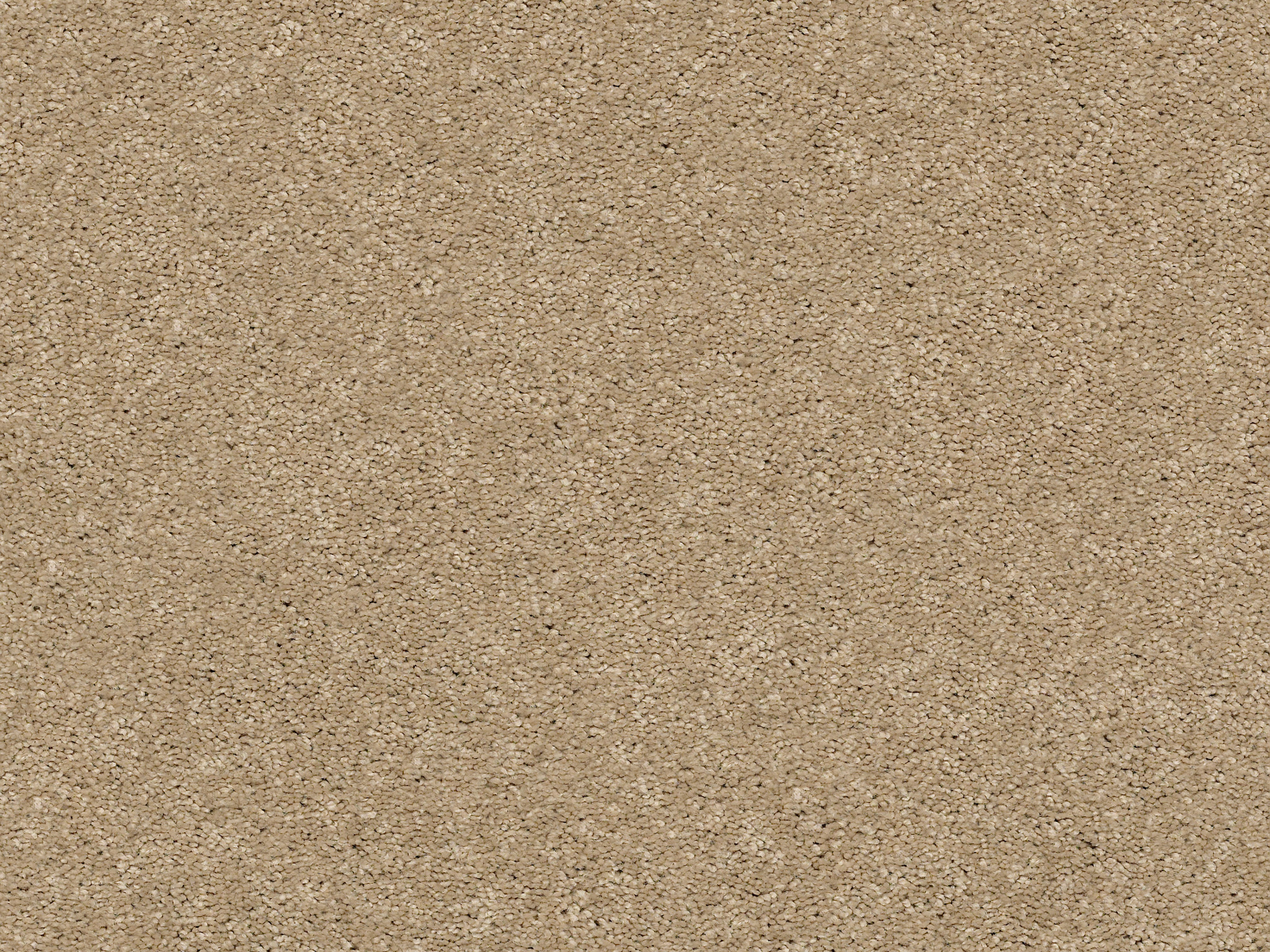 First Act Carpet - Coronado Zoomed Swatch Image