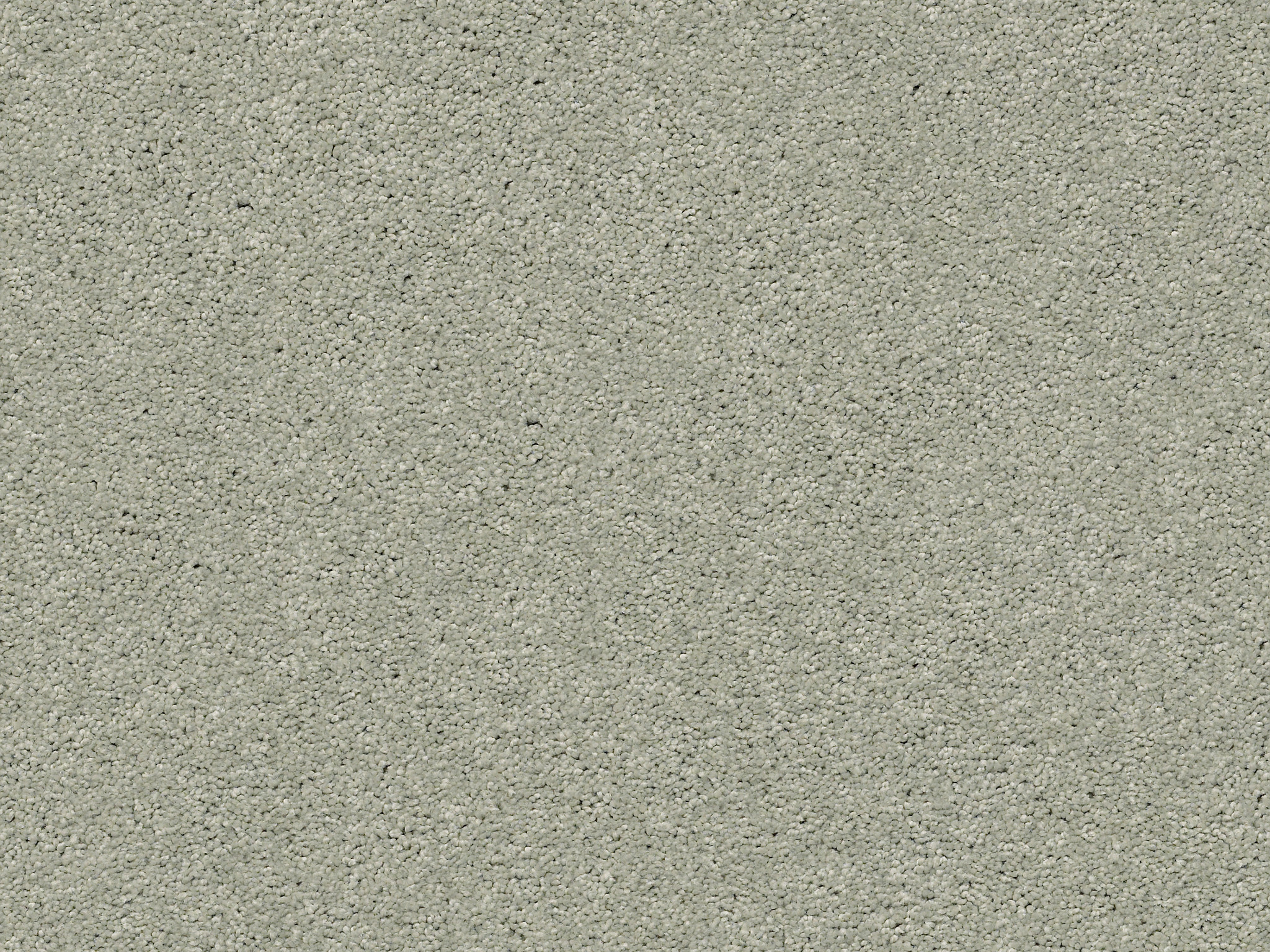 First Act Carpet - Rain Dance Zoomed Swatch Image