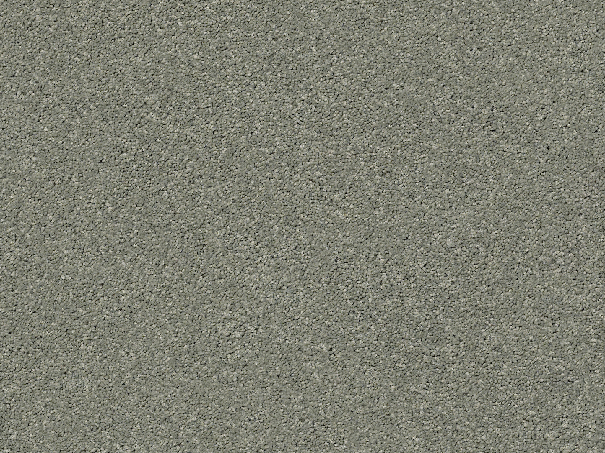 First Act Carpet - Pine Forest Zoomed Swatch Thumbnail