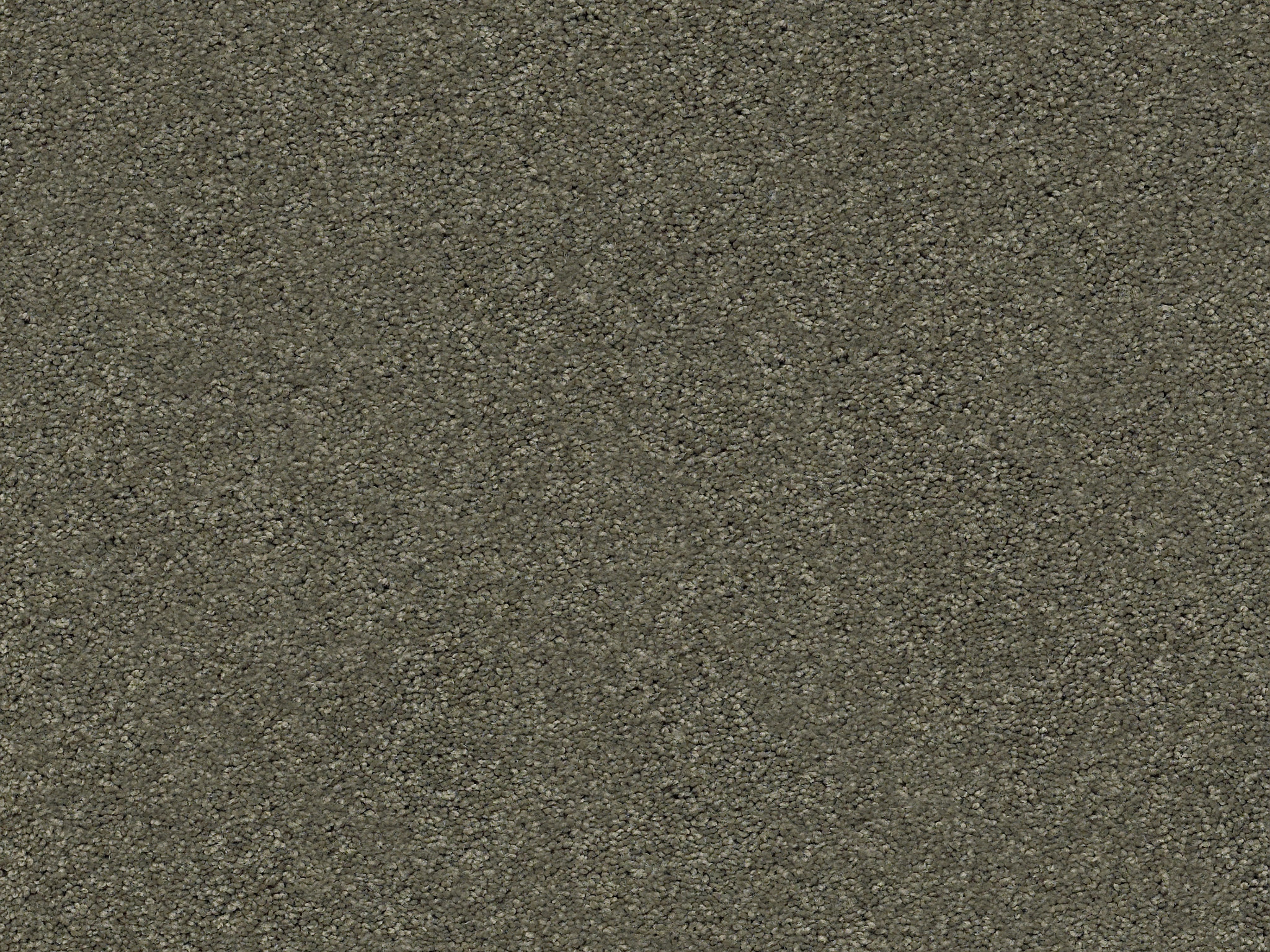 First Act Carpet - Wonder Zoomed Swatch Thumbnail