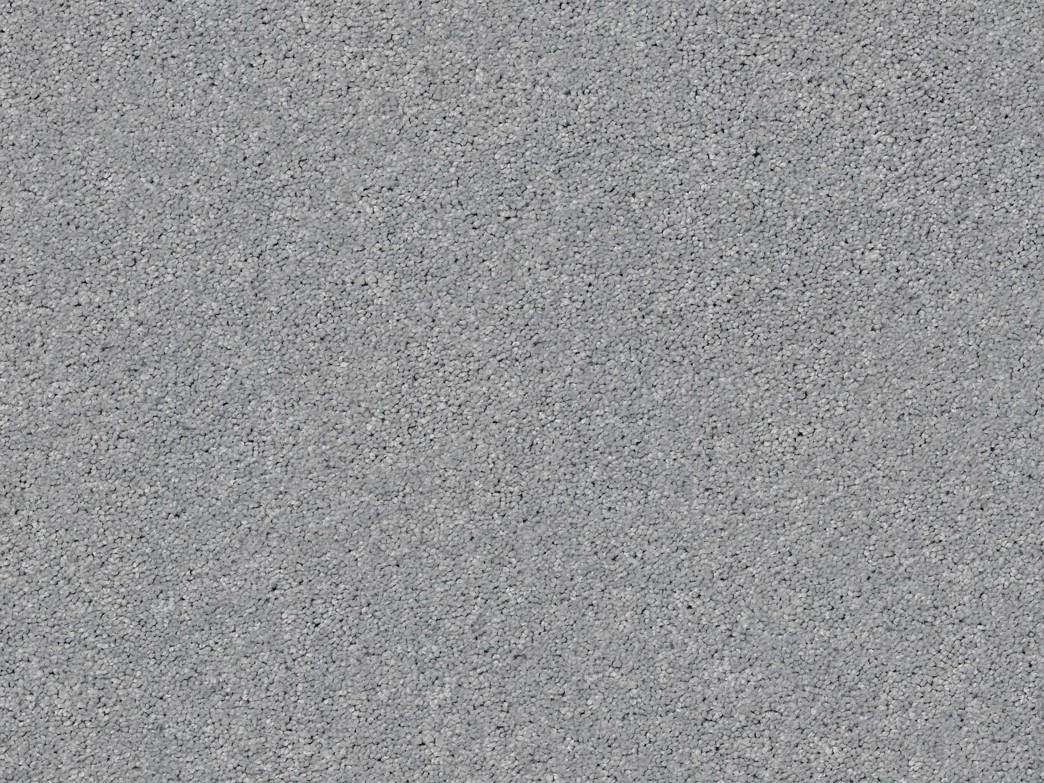 First Act Carpet - Edgewater Zoomed Swatch Image