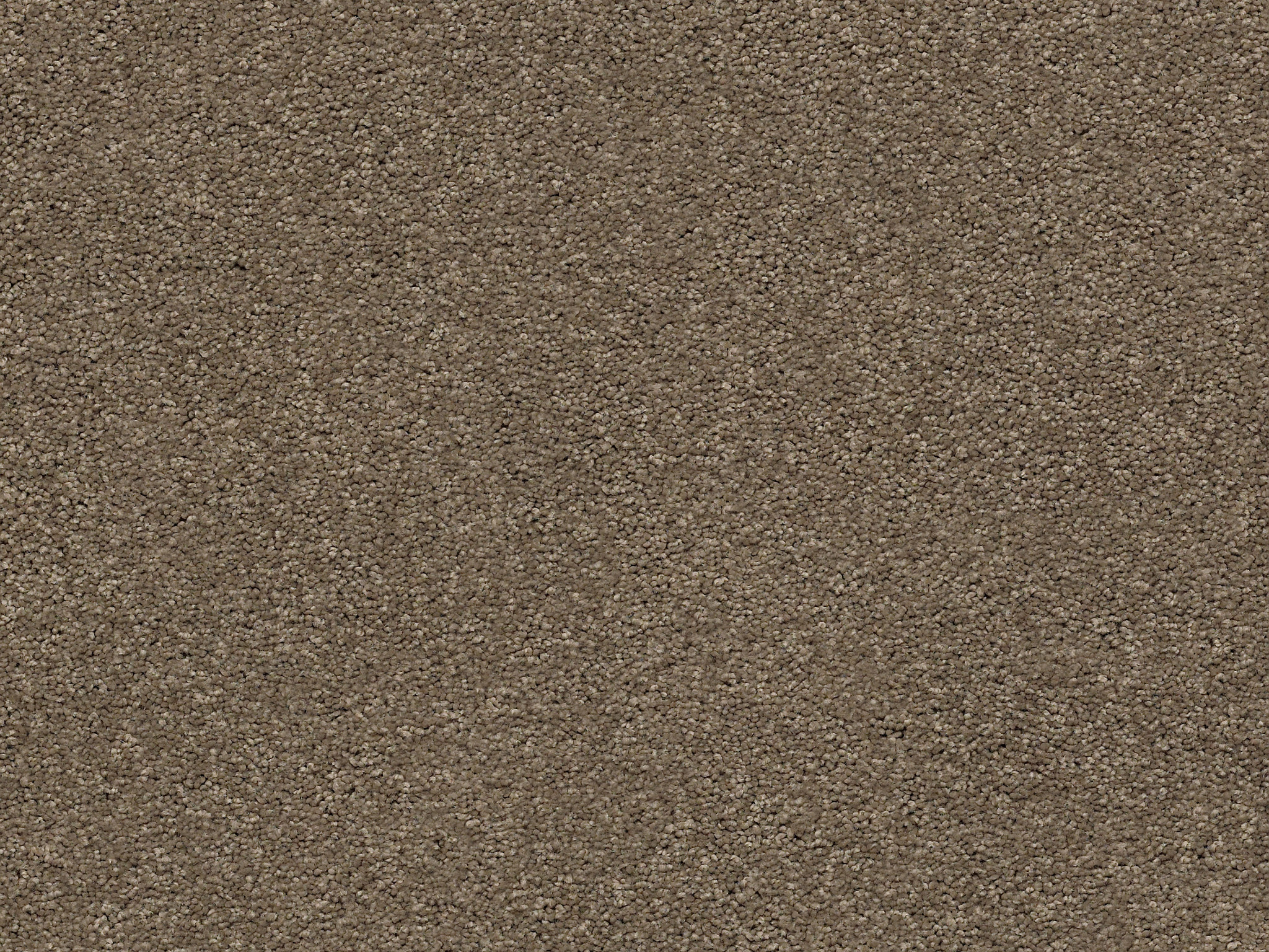 First Act Carpet - Rockport Zoomed Swatch Image