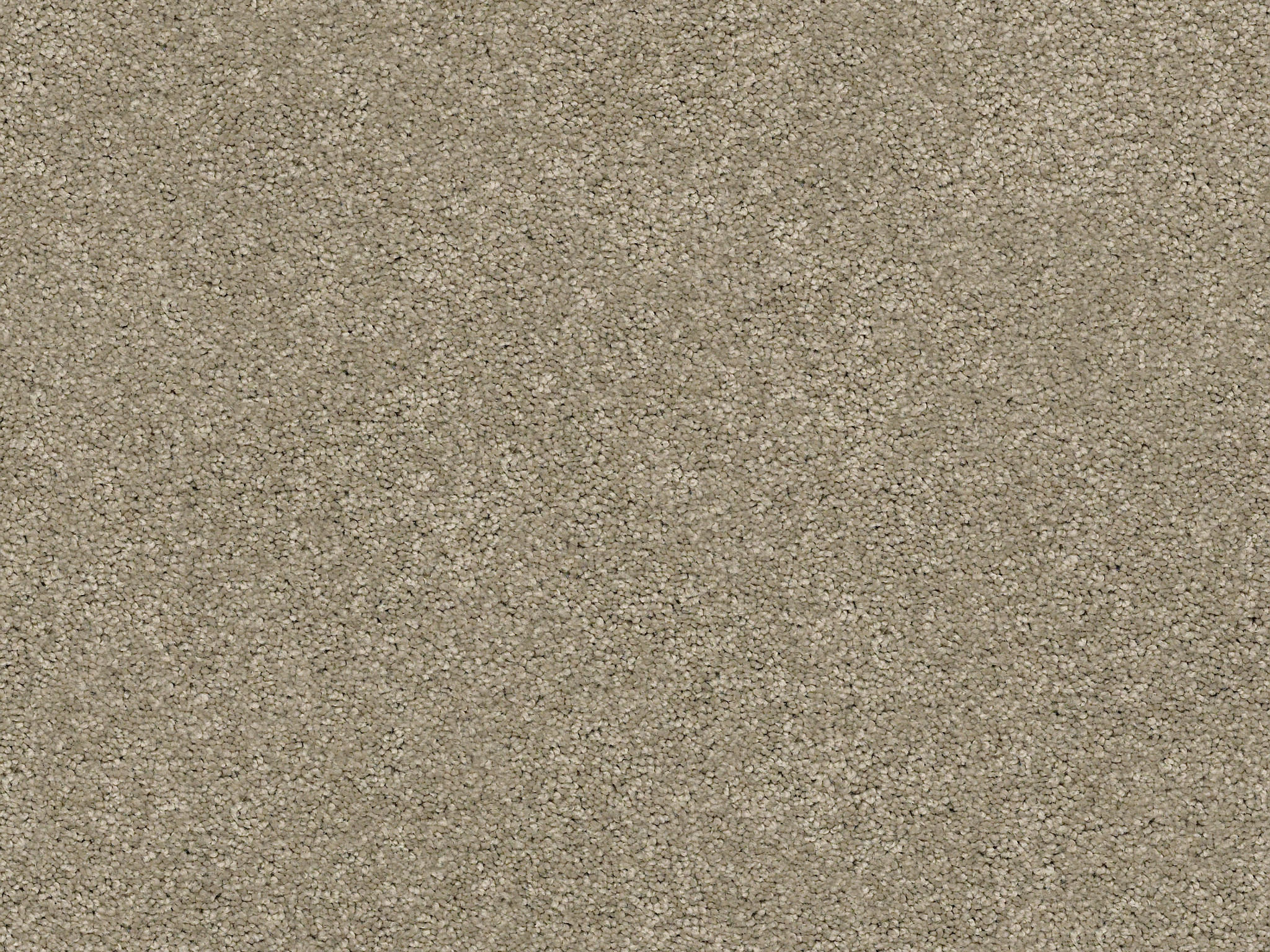 First Act Carpet - Imperial Zoomed Swatch Thumbnail