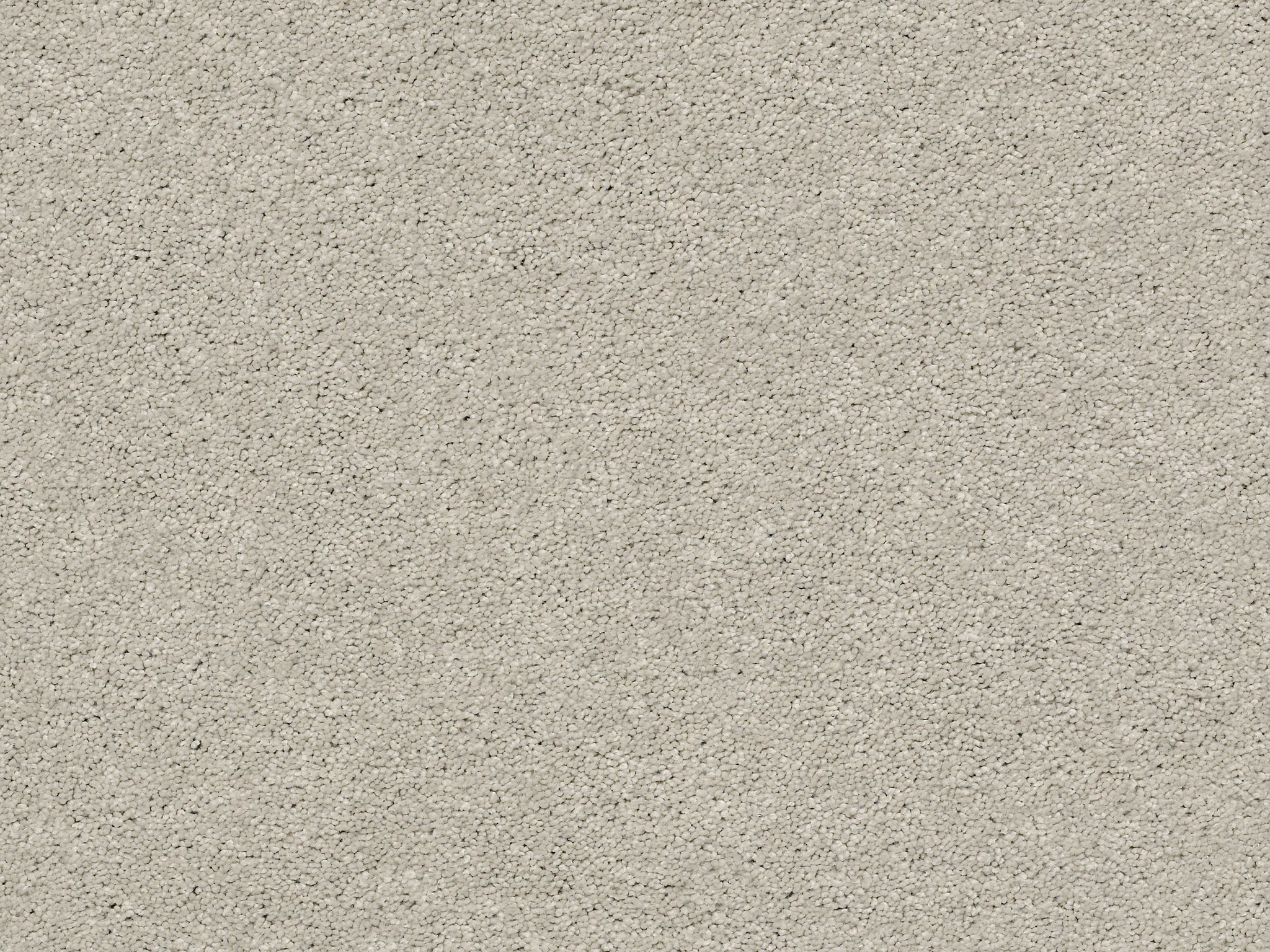First Act Carpet - Gentle Gray Zoomed Swatch Image