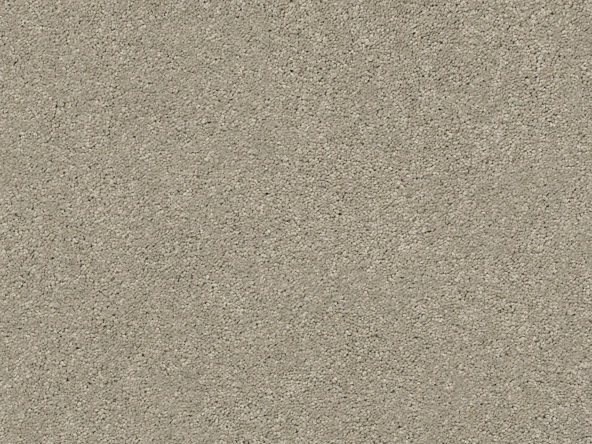 First Act Carpet - Cumulus Zoomed Swatch Image