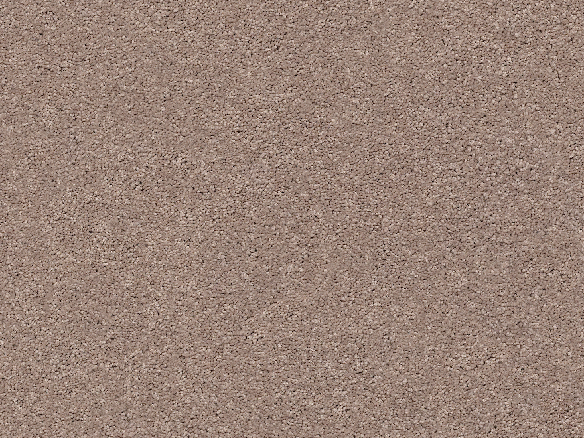 First Act Carpet - Socialite Zoomed Swatch Image
