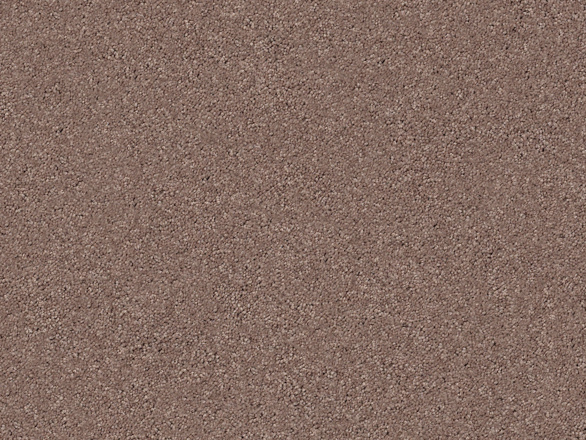 First Act Carpet - Enigma Zoomed Swatch Image