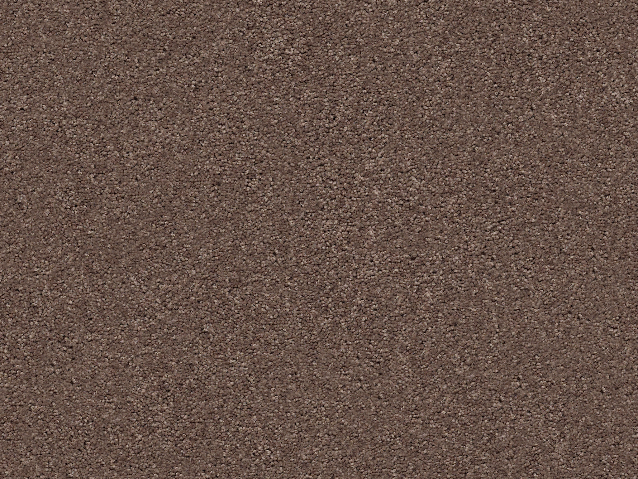 First Act Carpet - Chantrelle Zoomed Swatch Image