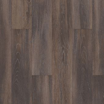 tivoli plus 0845v - cacao