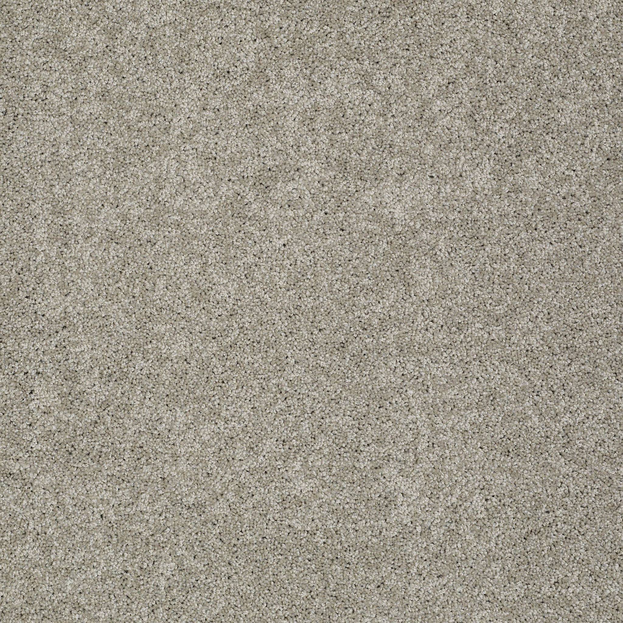 Shawmark Carpet Details ag timeless 0a532 rice paper