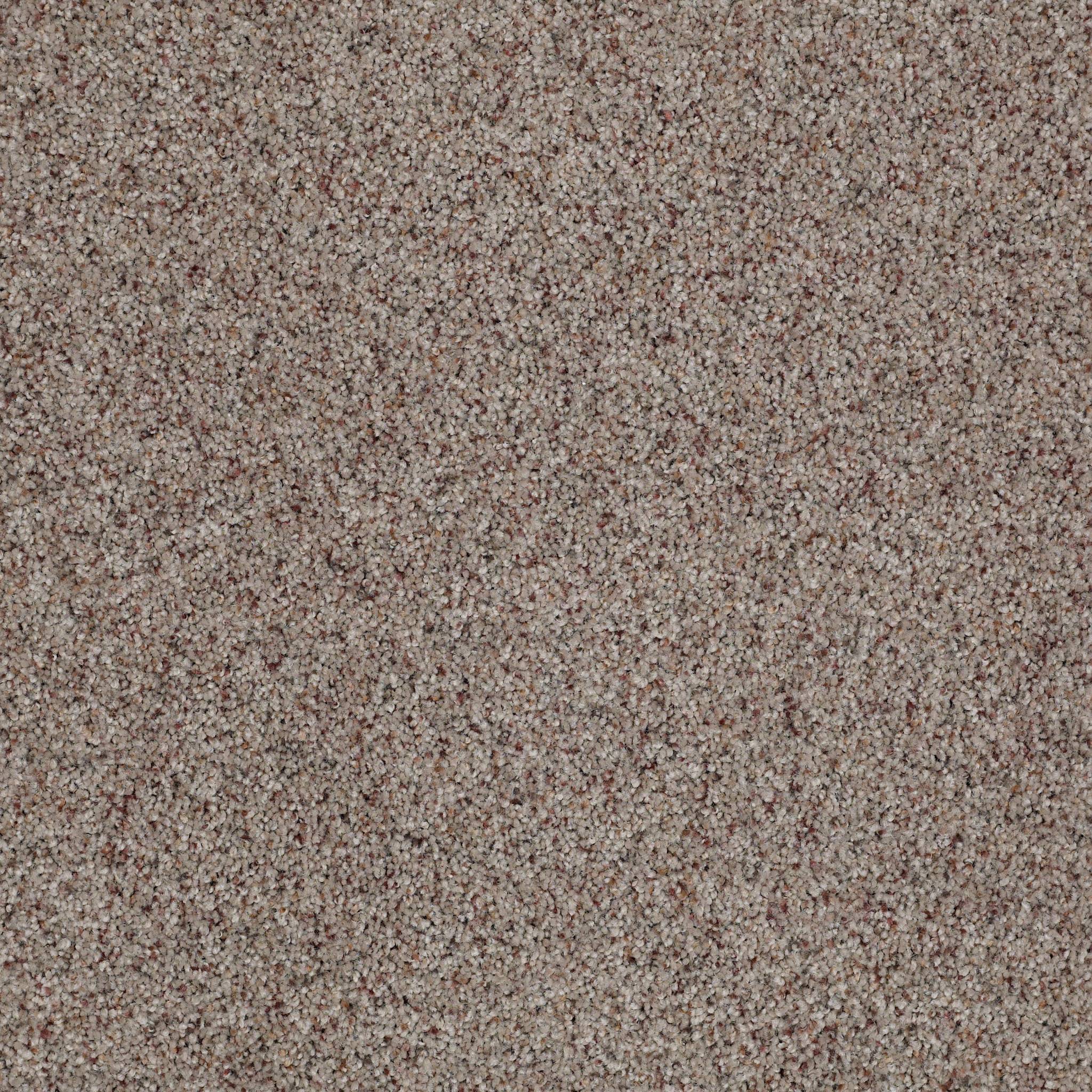 Shawmark Carpet Details ag dream maker 0a588 moon rock