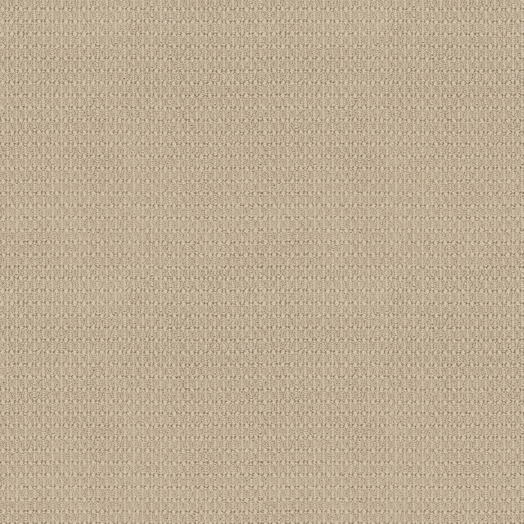 Shawmark Carpet Details ag for keeps 0a627 vintage