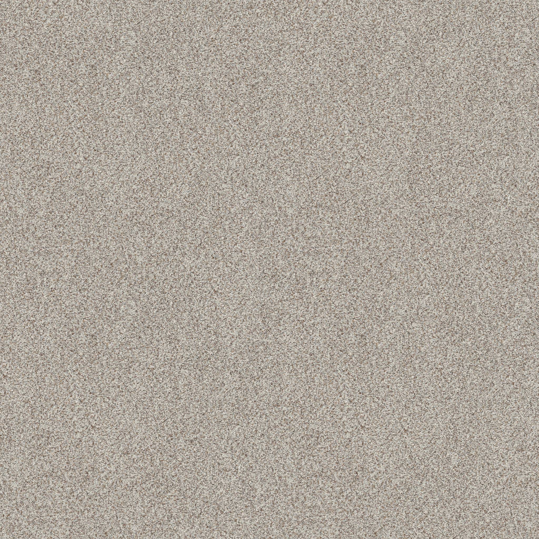 Shawmark Carpet Details ag it's luxurious 0a633 alluring
