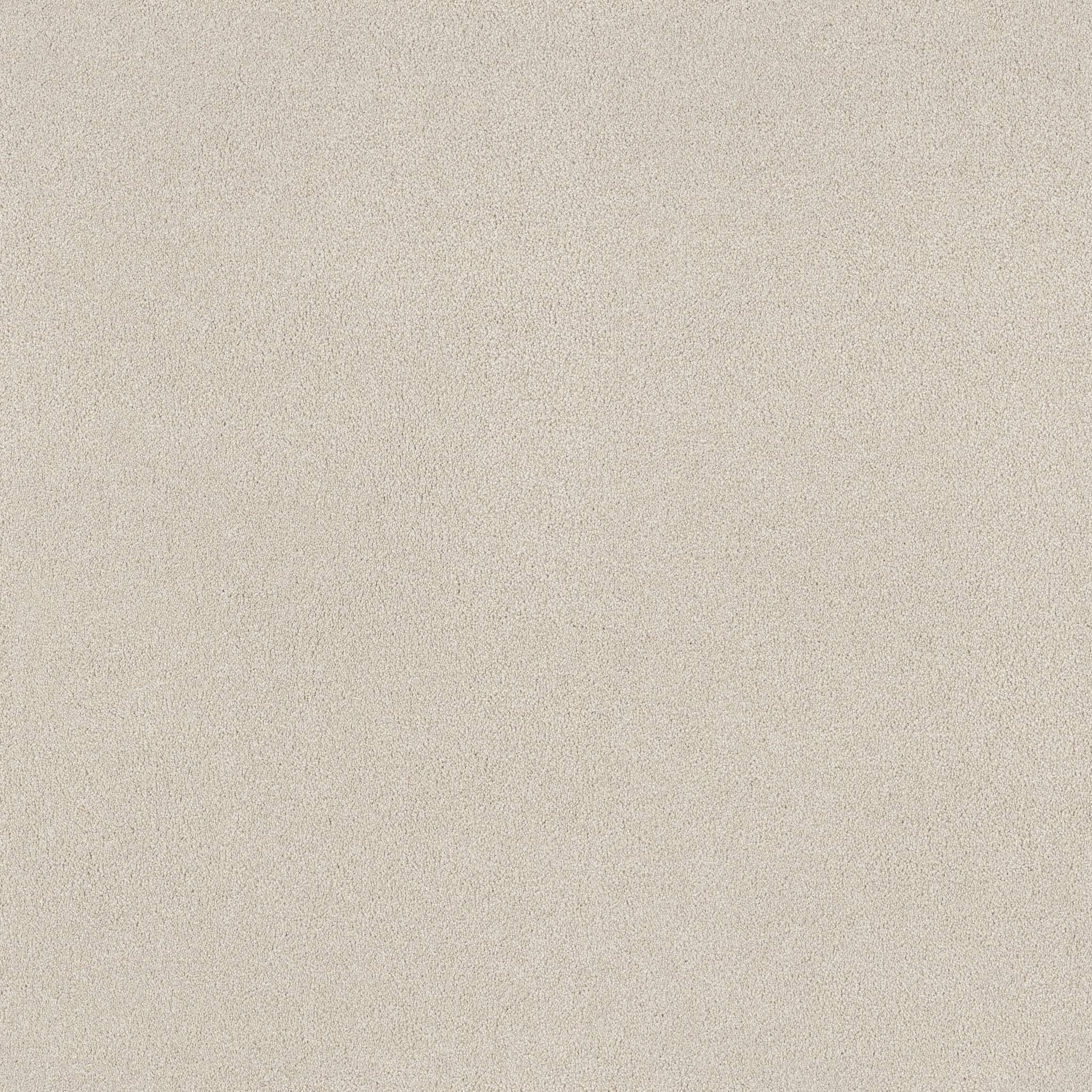 Shawmark Carpet Details ag exceptional 0a642 misty morning