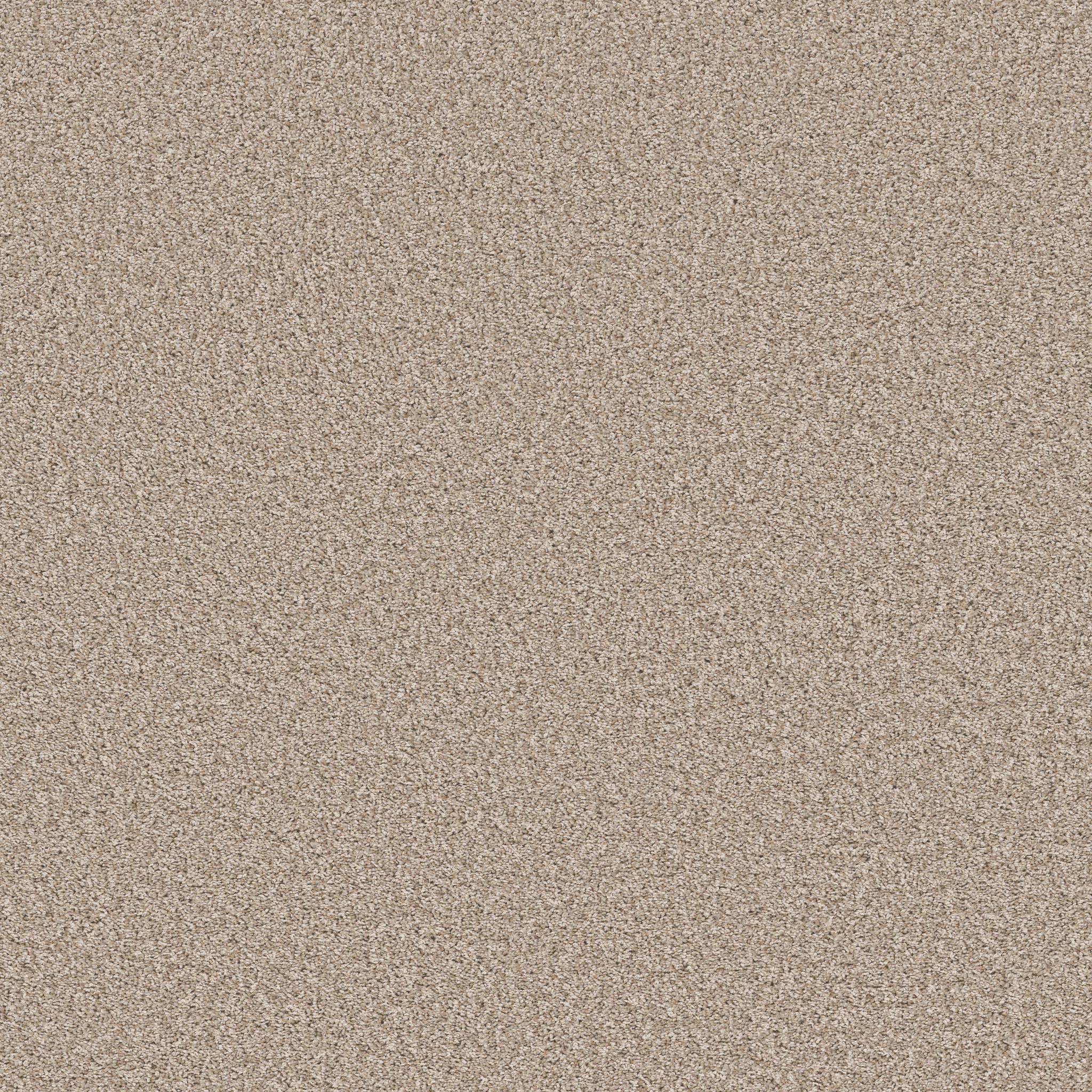 Shawmark Carpet Details | ag overjoyed 0a670 mimosa