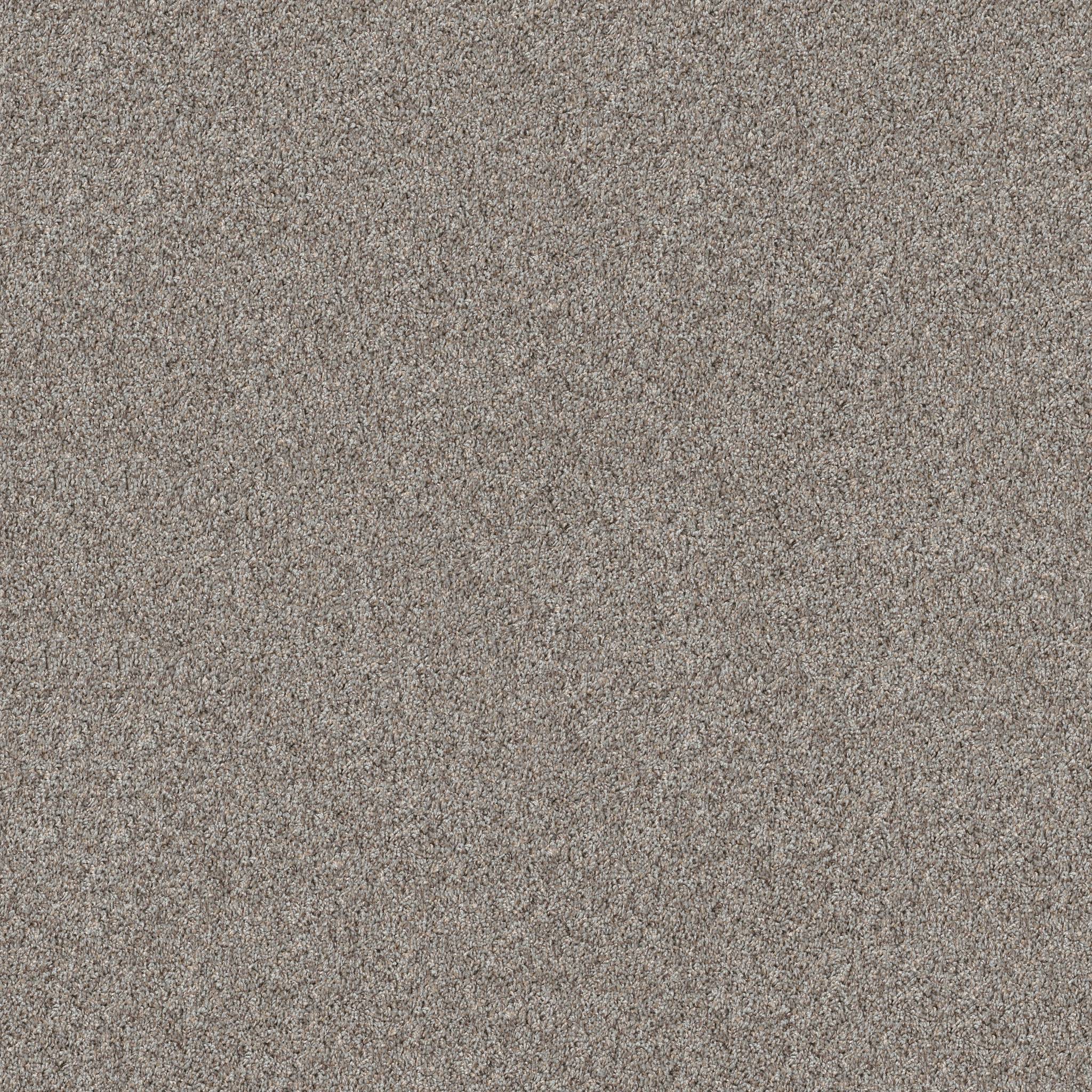 Shawmark Carpet Details ag exquisite 0a671 plaster