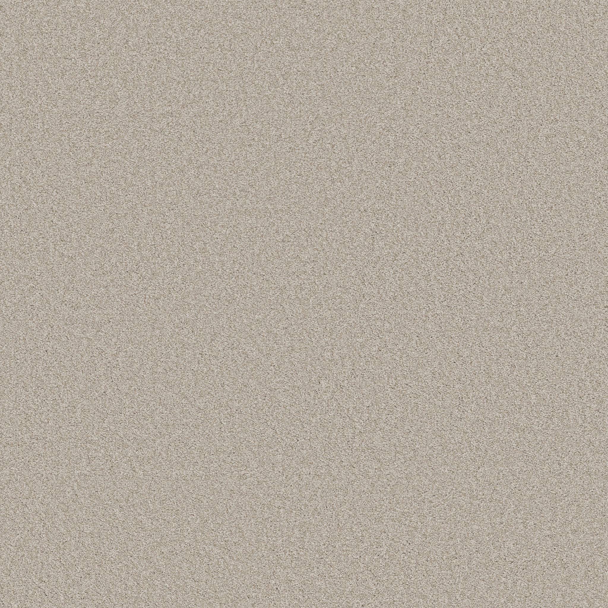 Shawmark Carpet Details ag true delight i 0a705 country cobblestone