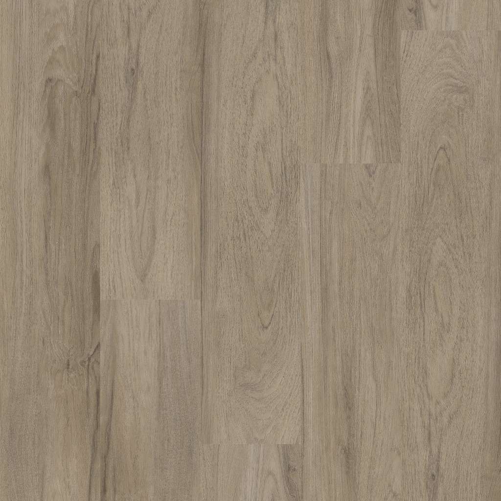 monumental hd plus 1cv01 - diva Costco | Shaw Floors Vinyl