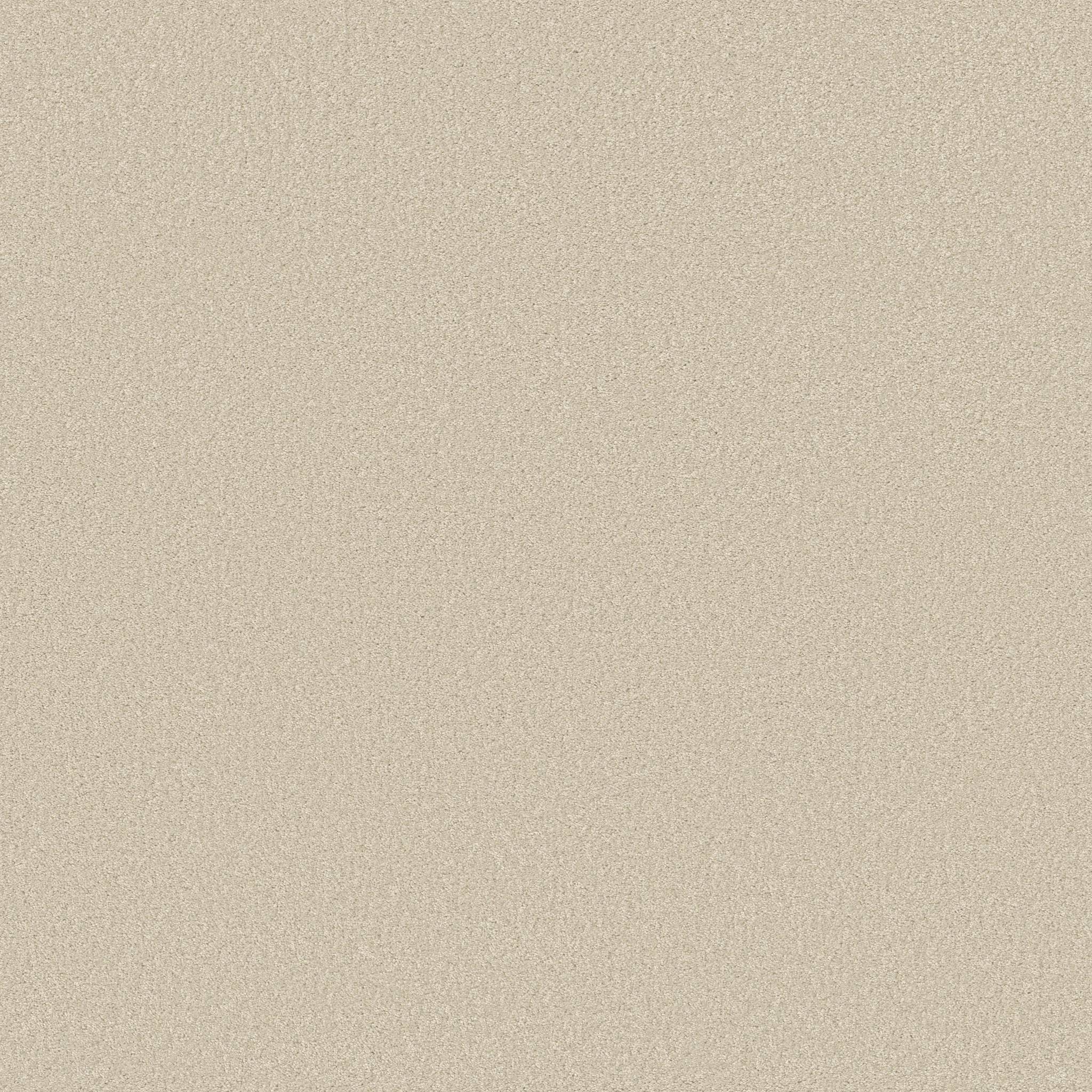 Grand Plush Carpet - Angora(S) Zoomed Swatch Image