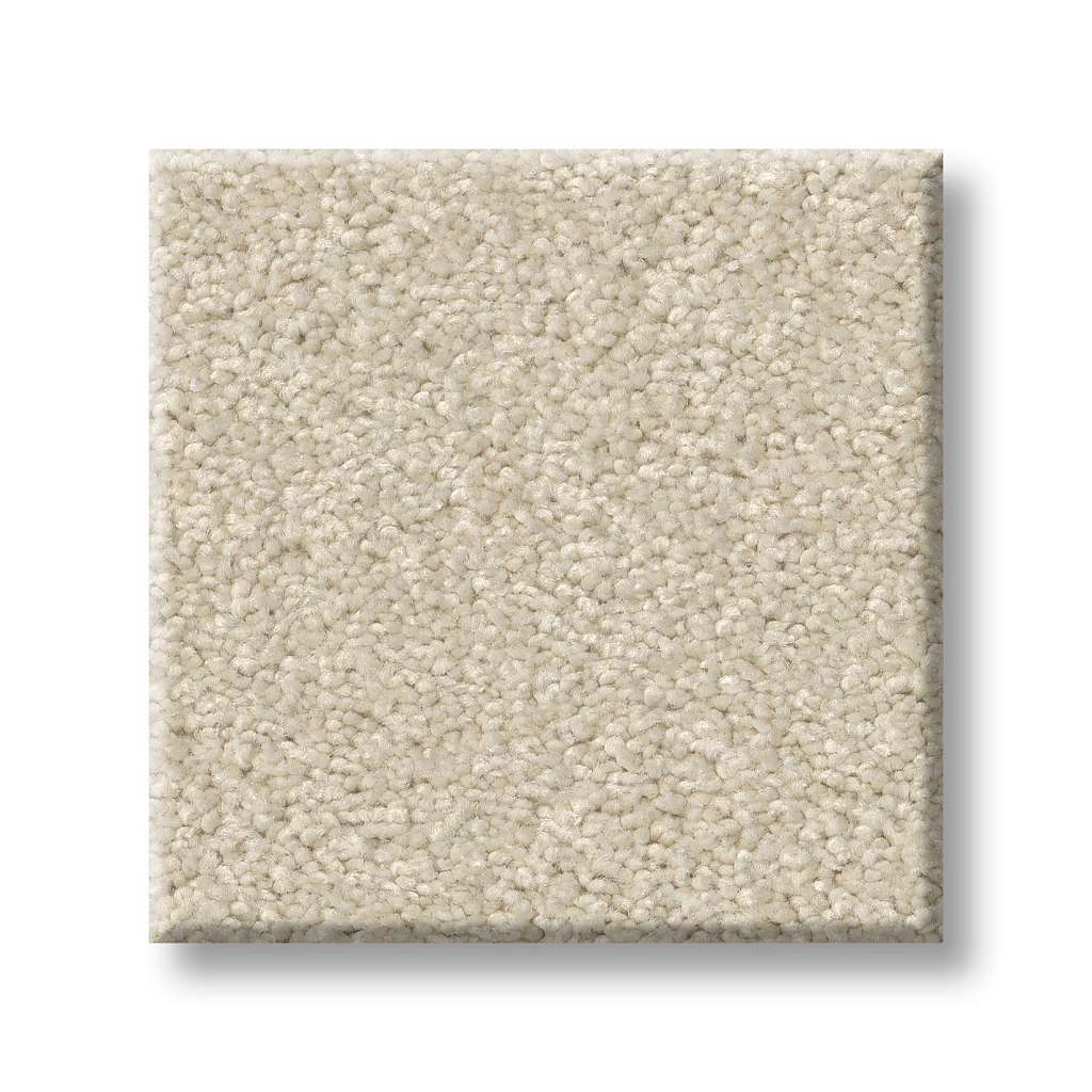 Grand Plush Carpet - Angora(S)  Swatch Image 