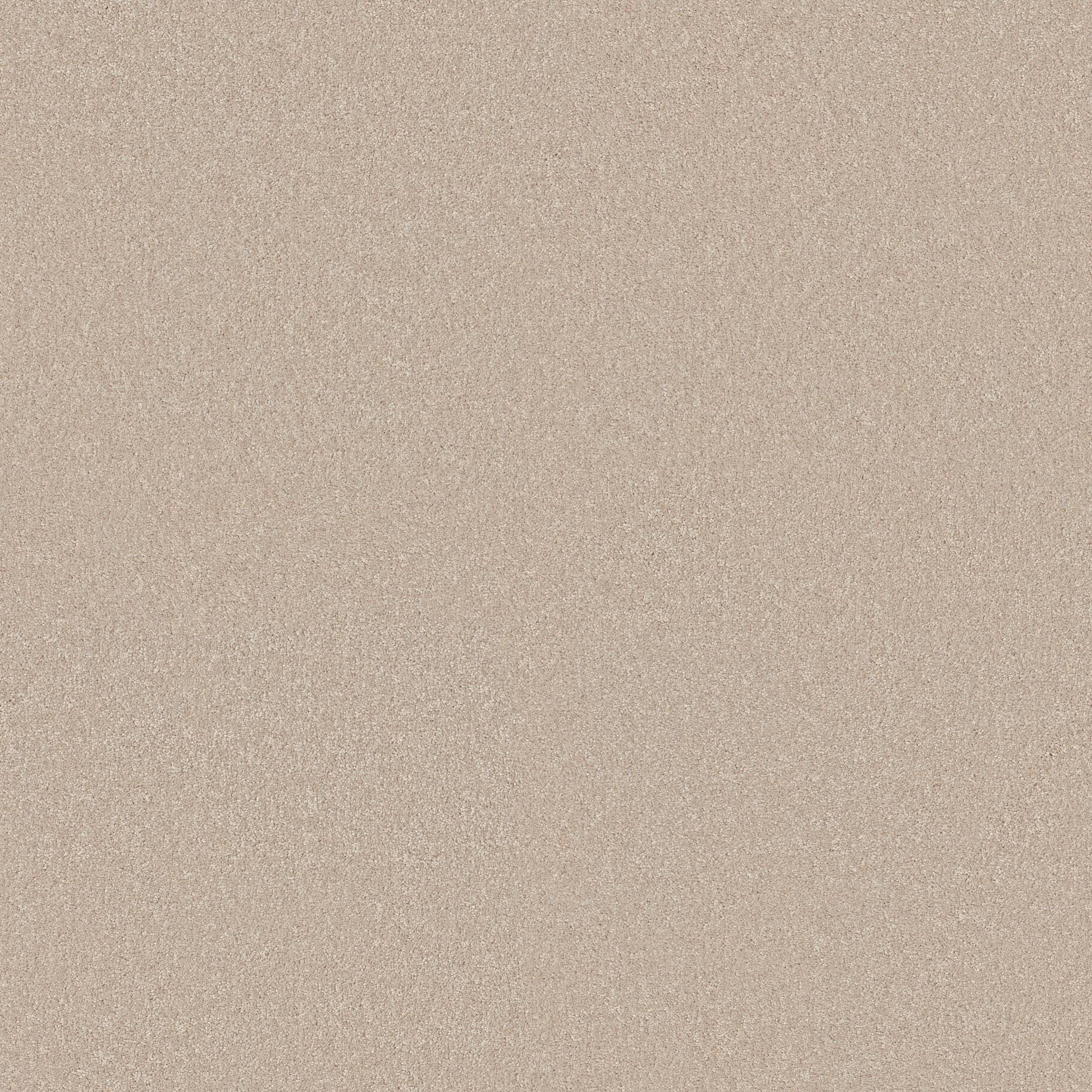 Grand Plush Carpet - Vintage Tan(S) Zoomed Swatch Image