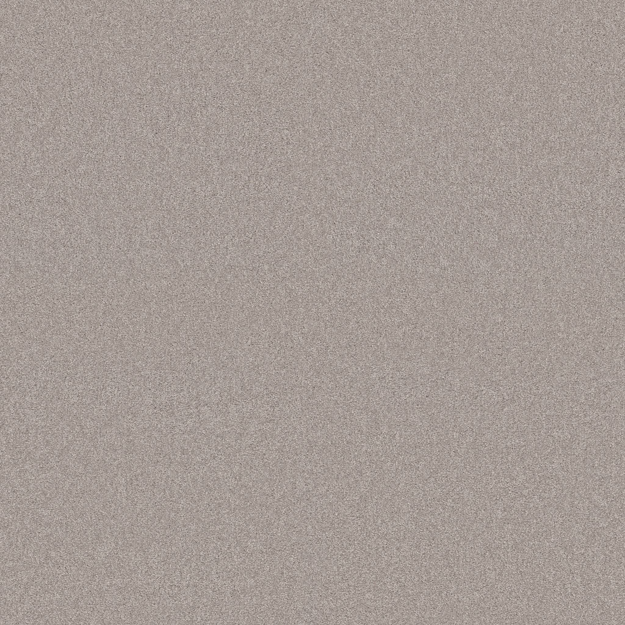 Grand Plush Carpet - Safari(S) Zoomed Swatch Image