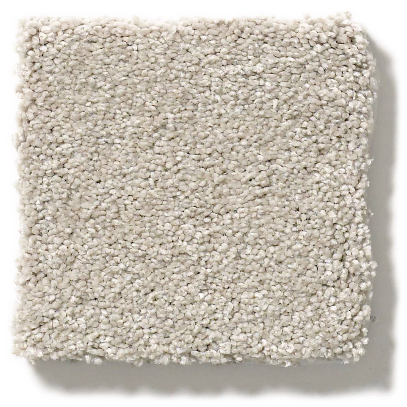 Grand Plush Carpet - Safari(S) Swatch Thumbnail pupop1