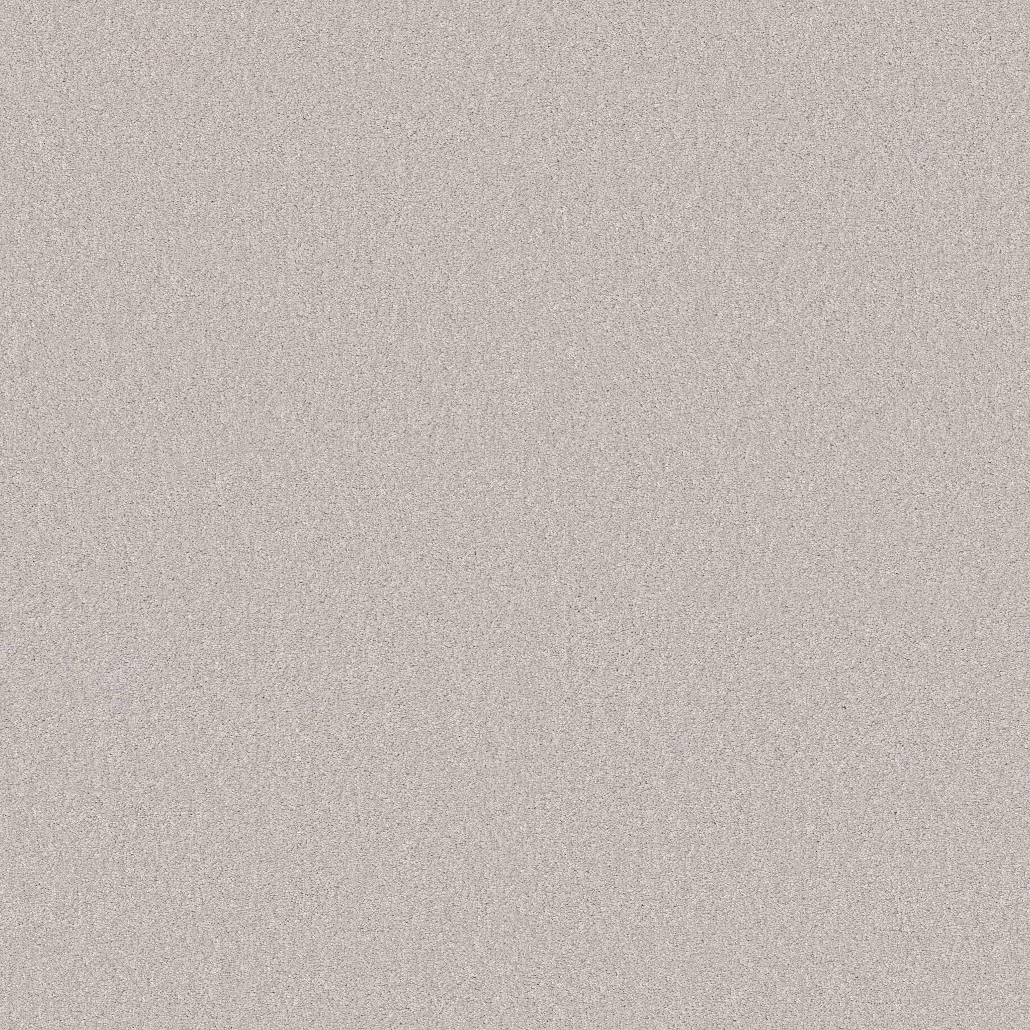 Grand Plush Carpet - Pale Shadow(S) Zoomed Swatch Image