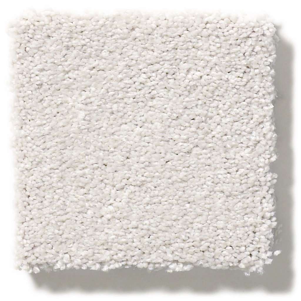 Grand Plush Carpet - Pale Shadow(S)  Swatch Image 