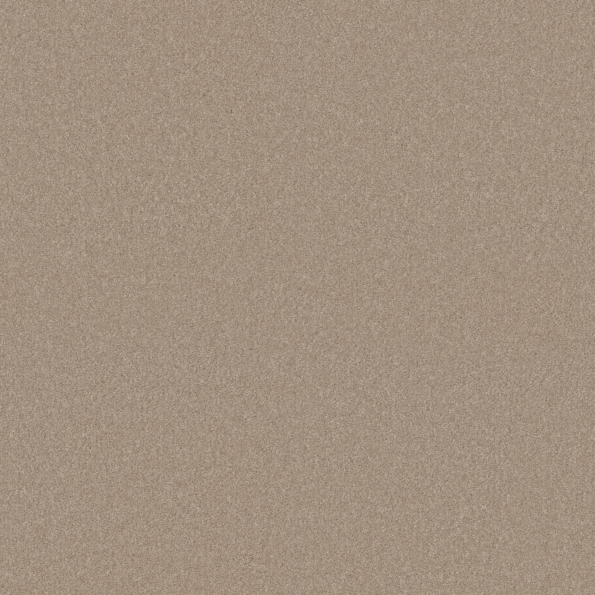 Grand Plush Carpet - Tumbleweed(S) Zoomed Swatch Image
