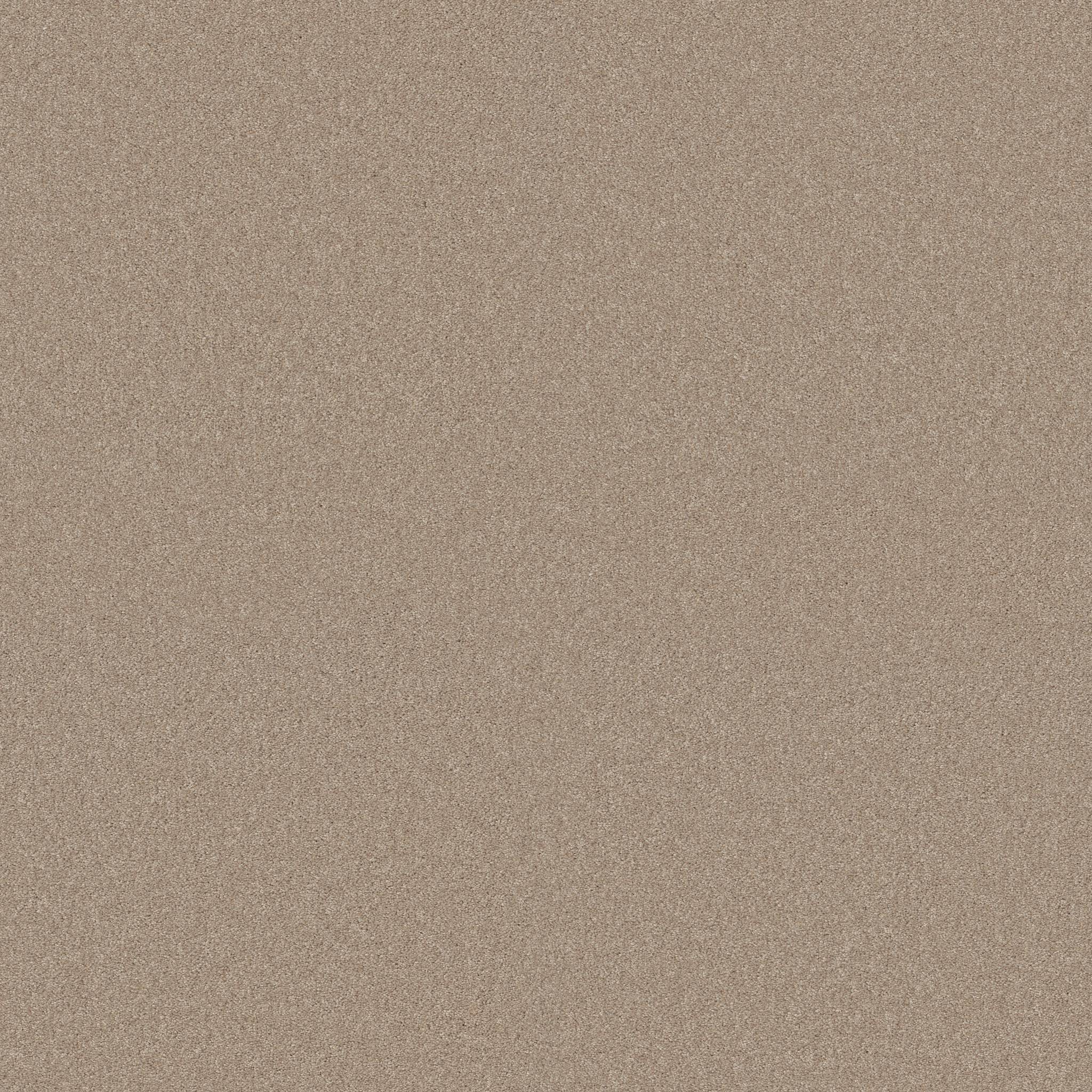 Grand Plush Carpet - Tumbleweed(S) Zoomed Swatch Image