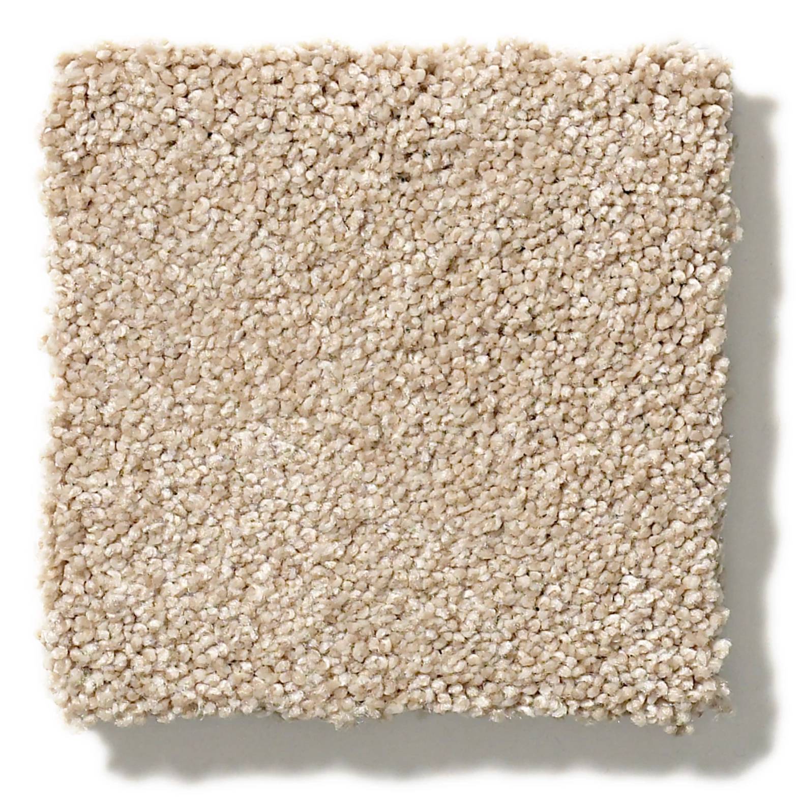 Grand Plush Carpet - Tumbleweed(S) Swatch Thumbnail pupop1