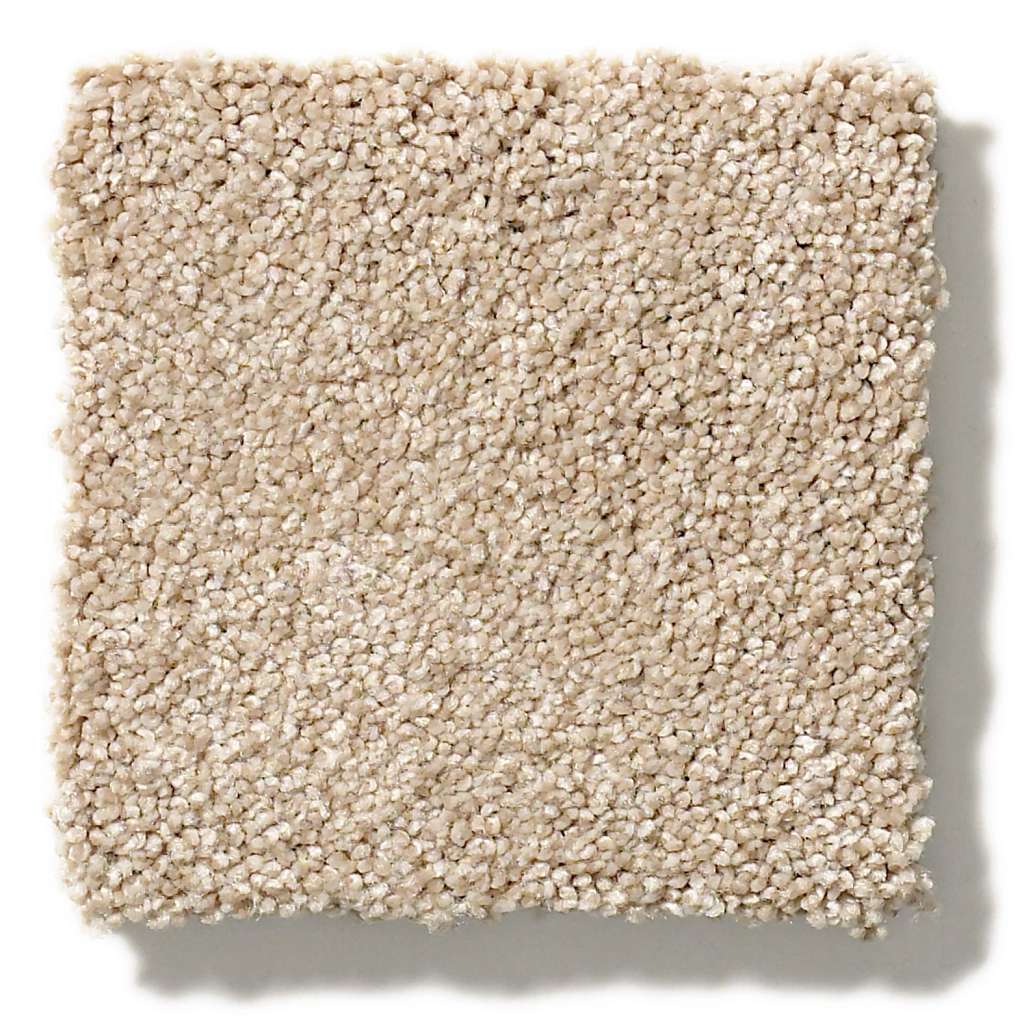 Grand Plush Carpet - Tumbleweed(S)  Swatch Image 