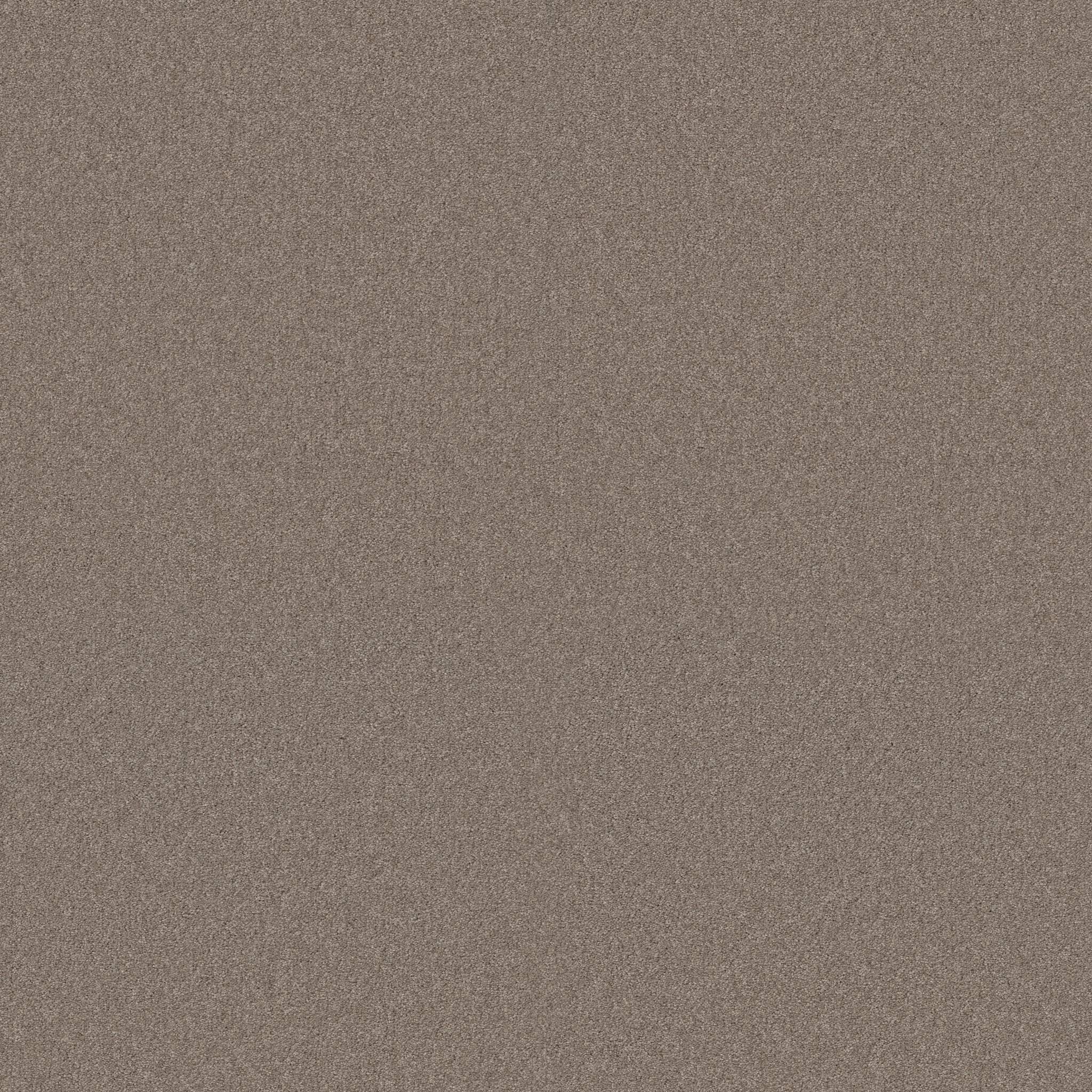 Grand Plush Carpet - Saddle(S) Zoomed Swatch Image