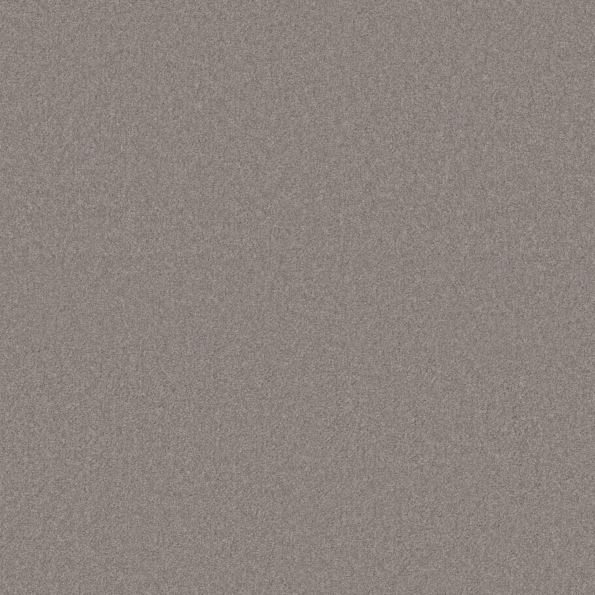 Grand Plush Carpet - Nutshell(S) Zoomed Swatch Image