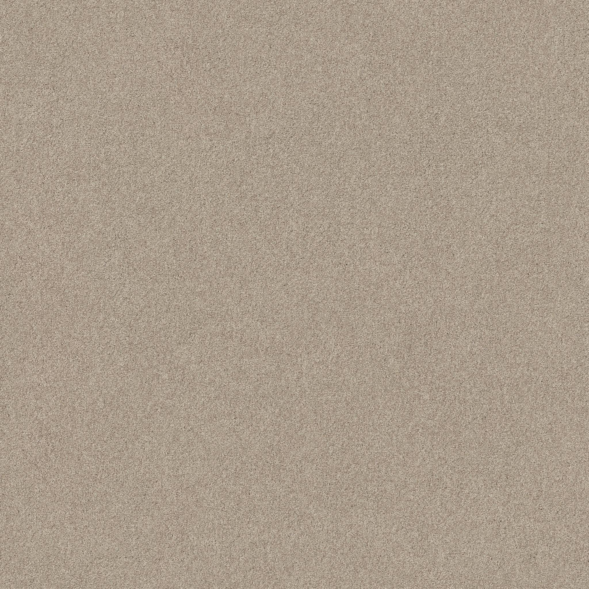 Grand Plush Carpet - Studio(S) Zoomed Swatch Image