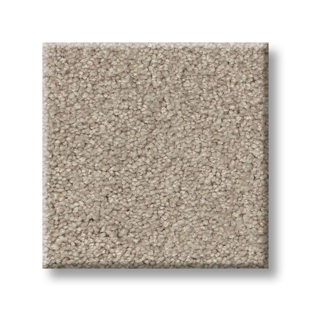 Grand Plush Carpet - Studio(S)  Swatch Image 