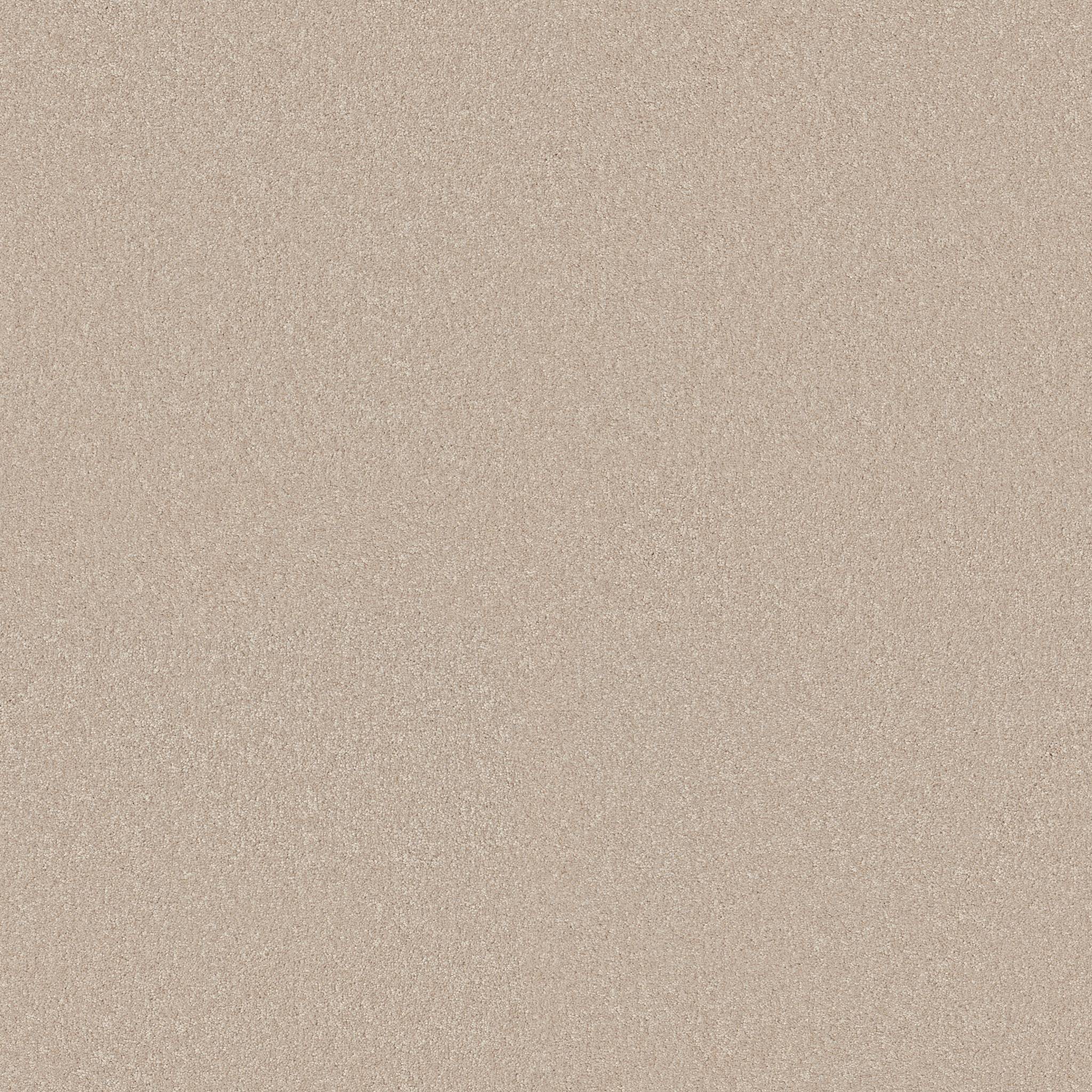 Splendid Plush Carpet - Vintage Tan(S) Zoomed Swatch Image