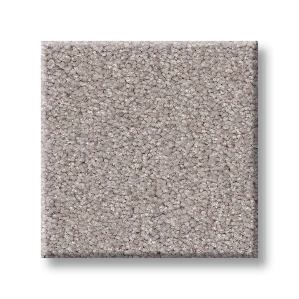 Splendid Plush Carpet - Safari(S)  Swatch Image 