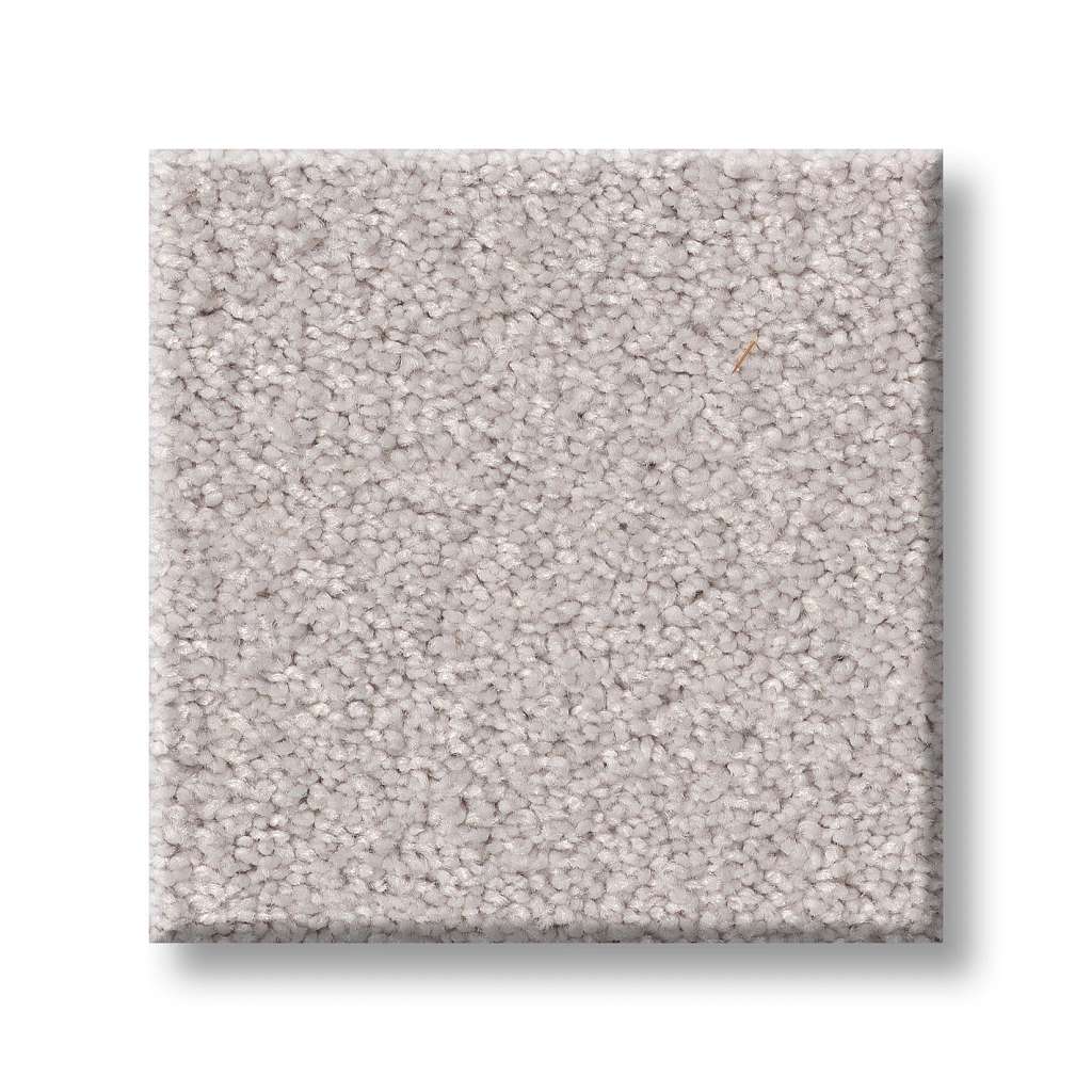 Splendid Plush Carpet - Pale Shadow(S)  Swatch Image 