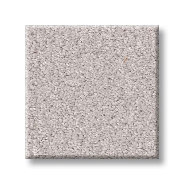Style Splendid Plush Carpet - Pale Shadow(S) Swatch