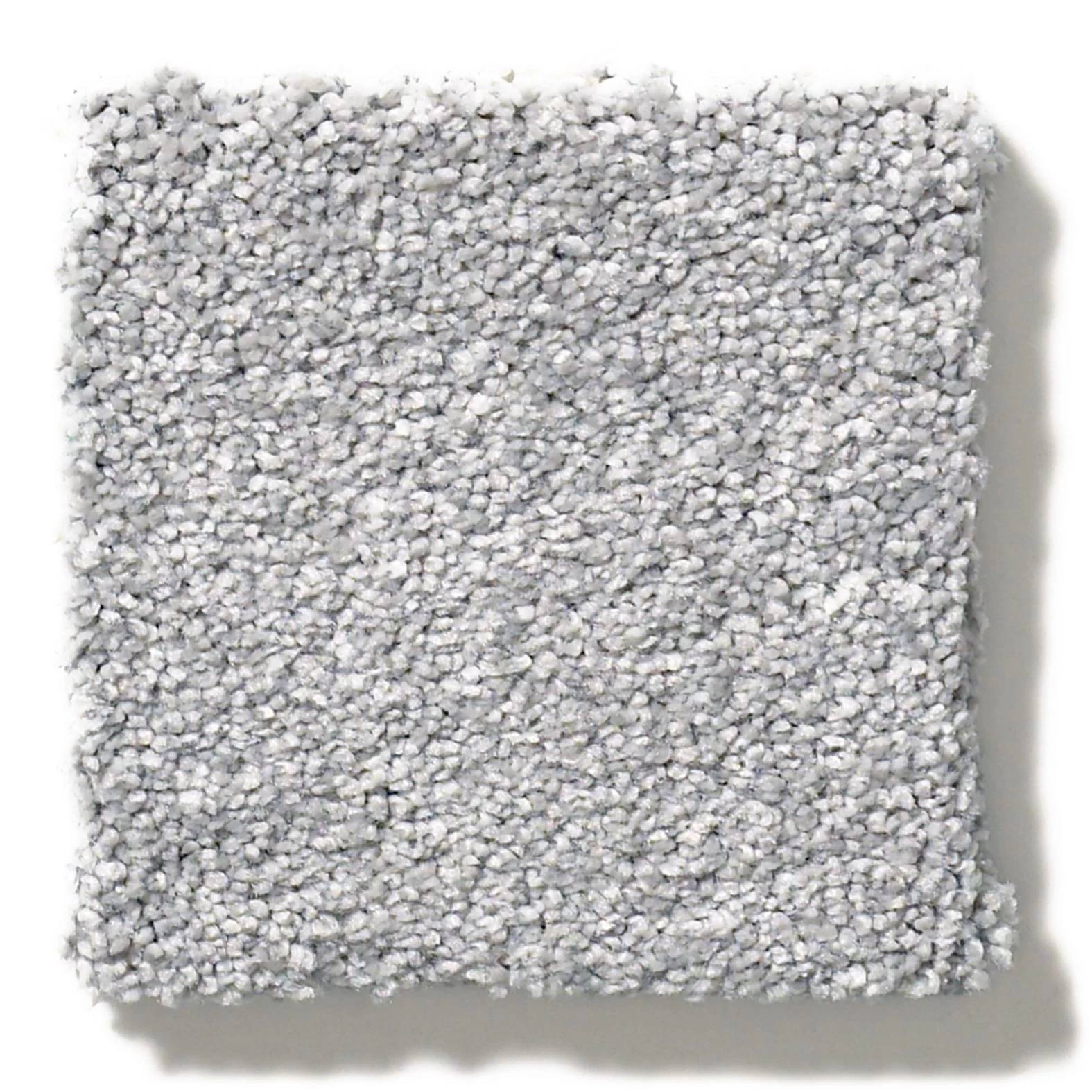 Splendid Plush Carpet - Steel(S) Swatch Thumbnail pupop1