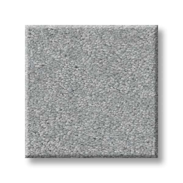 Style Splendid Plush Carpet - Steel(S) Swatch