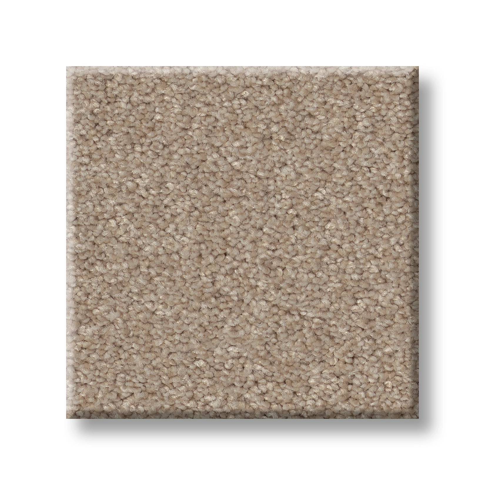 Splendid Plush Carpet - Tumbleweed(S) Swatch Thumbnail pupop1