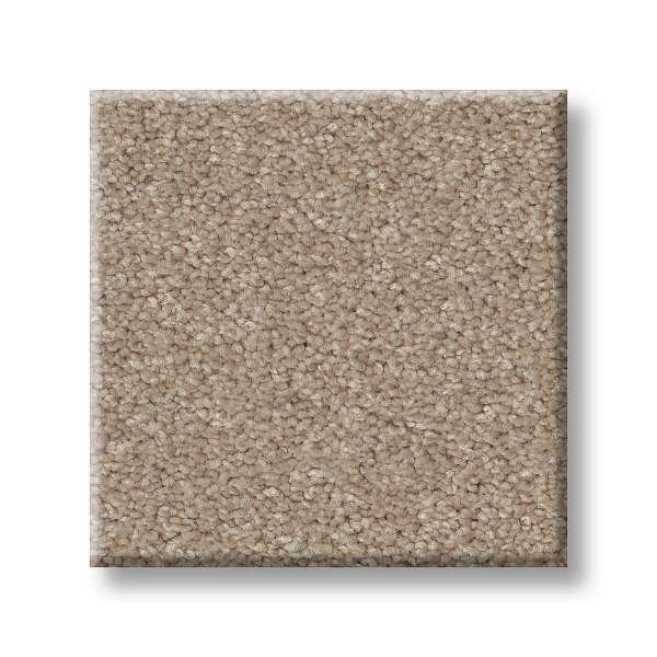 Style Splendid Plush Carpet - Tumbleweed(S) Swatch