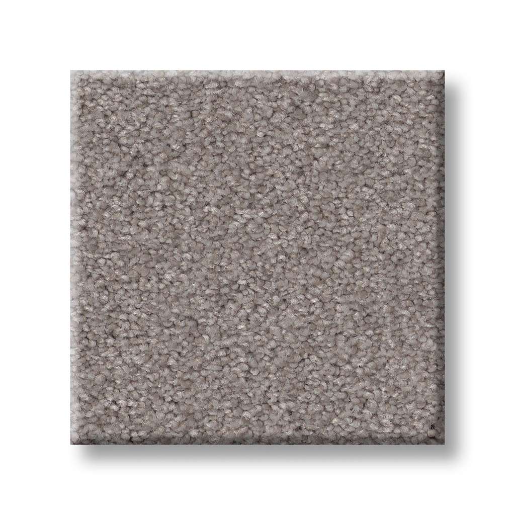 Splendid Plush Carpet - Nutshell(S)  Swatch Image 