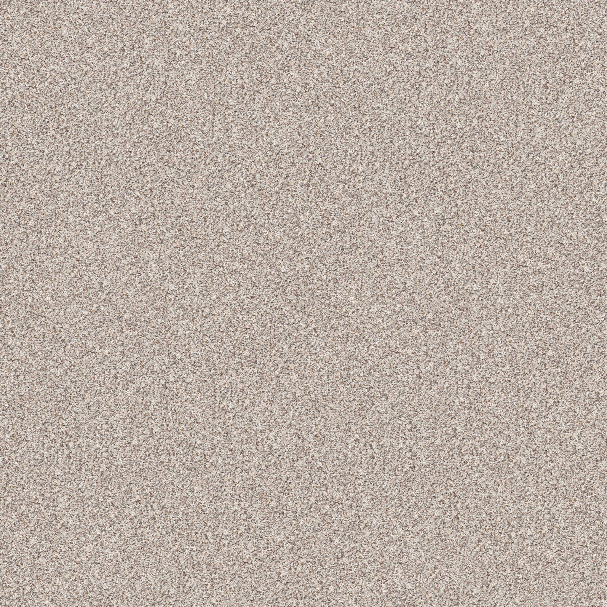 Grand Highlights Carpet - Suede Buff(A) Zoomed Swatch Image