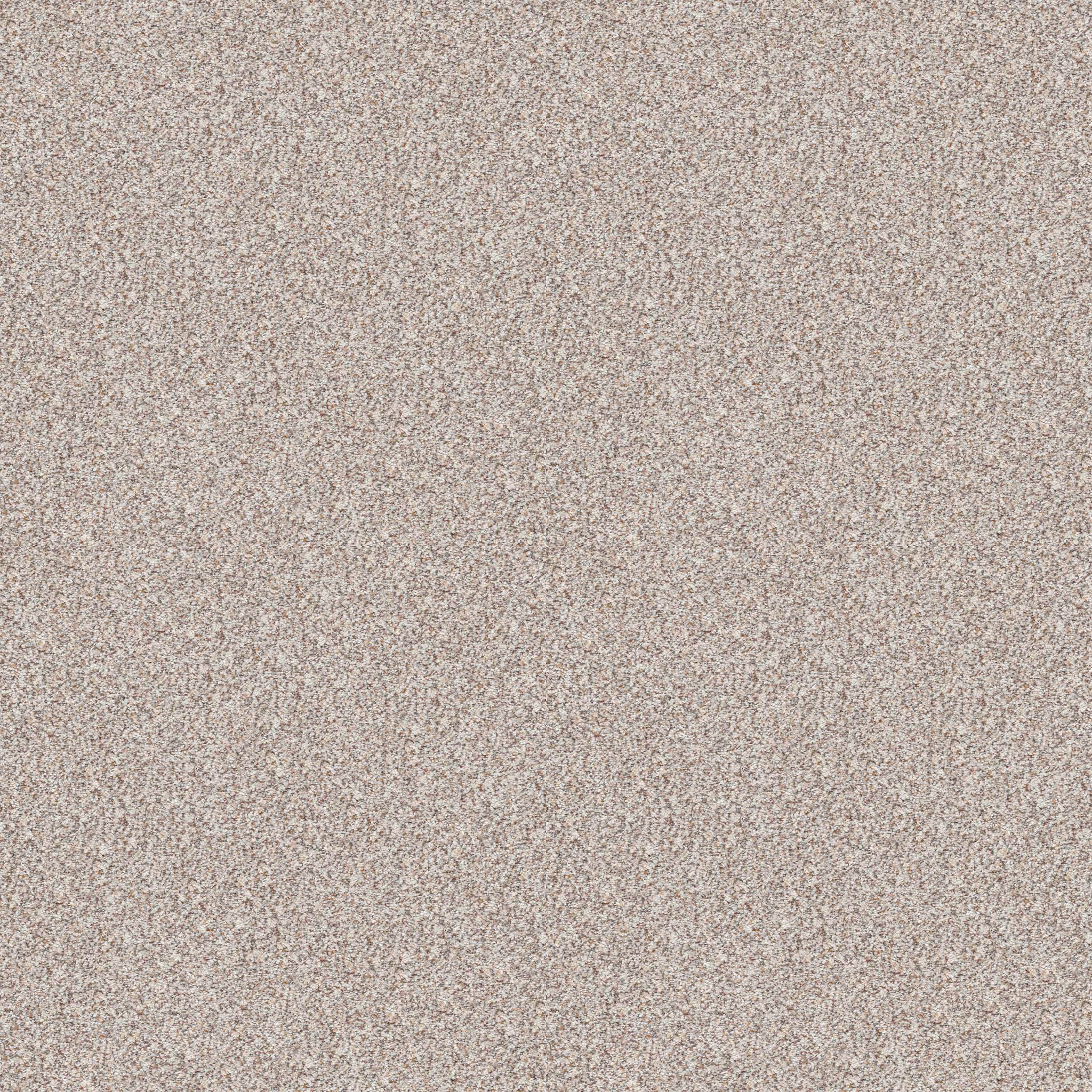 Grand Highlights Carpet - Suede Buff(A) Zoomed Swatch Image